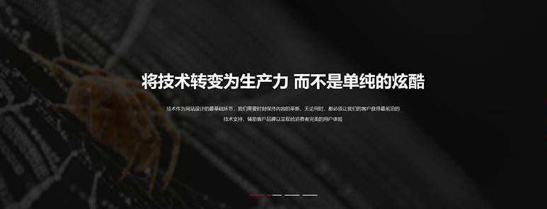瑞安网页设计公司网站哪家强？