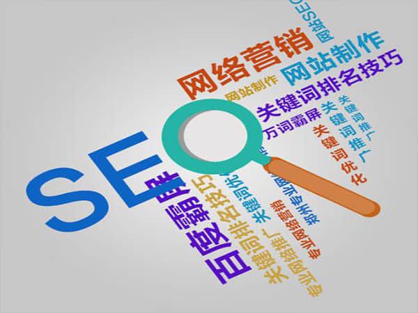 瑞安优化公司哪家好？找到最适合您的优化伙伴